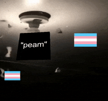 a transgender flag is next to a sign that says " peam "