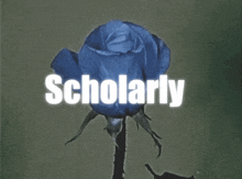 Scholarly GIF - Scholarly GIFs