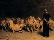 a painting of a man standing in front of a herd of lion cubs