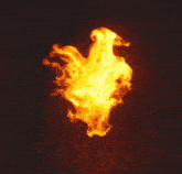 a picture of a fire with the words flaaa aa aa aa aa aa ame