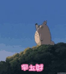 早上好，龙猫，千与千寻 GIF - Totoro Good Morning Chinchilla GIFs