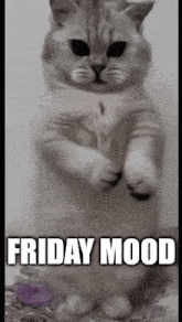 Friday End Of The Week GIF