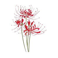a bunch of red flowers with green stems
