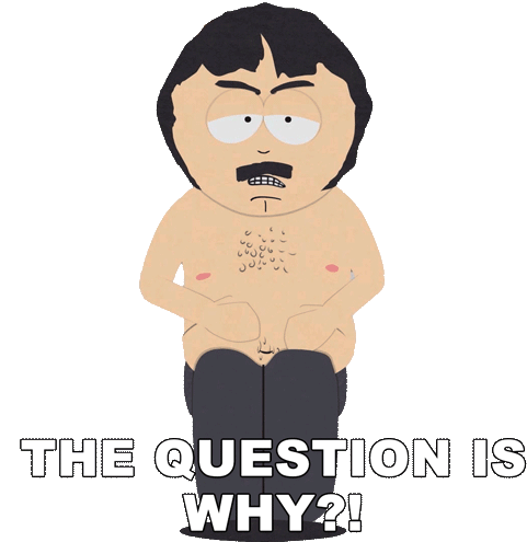 The Question Is Why Randy Marsh Sticker - The Question Is Why Randy Marsh South Park Stickers