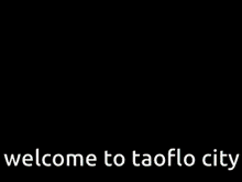 a black screen with the words welcome to taoflo city written on it