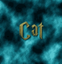Cat Cat Name GIF - Cat Cat Name Name GIFs