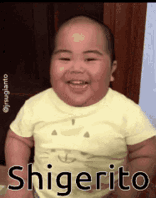 Shigerito Chubby GIF - Shigerito Chubby Laugh GIFs