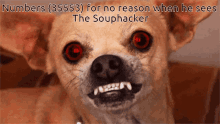 Souphacker Numbers GIF - Souphacker Numbers Gstands GIFs