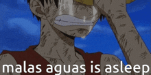 a monkey d luffy from one piece crying with the words " malas aguas is asleep " above him