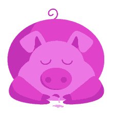 kstr kochstrasse pig animal sleep