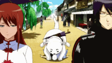 銀魂　ぎんたま　定春　さだはる　遊びたい GIF - Gintama Sadaharu Playtime GIFs