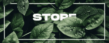 Store Banner GIF - Store Banner GIFs