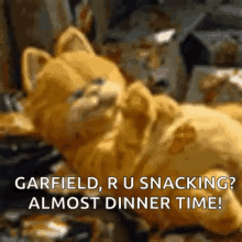 Garfield Are You Snacking GIF - Garfield Are You Snacking Dinner Time GIFs