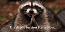 Astris GIF - Astris GIFs