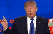 Trump Donald GIF - Trump Donald Wrong GIFs
