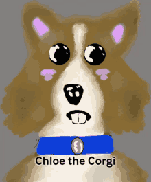 Corgi Chloe GIF - Corgi Chloe Confused GIFs
