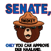 Senate Only You Can Approve Deb Haaland Sticker - Senate Only You Can Approve Deb Haaland Smokey Bear Stickers