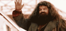 Harry Poter Wave GIF