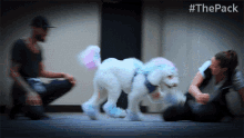 Playing The Pack GIF - Playing The Pack Play With The Dog GIFs