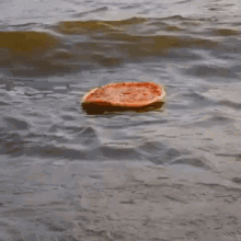 Pizza Party Oddly Soothing GIF - Pizza Party Oddly Soothing Serenity Now GIFs