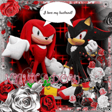 a picture of knuckles and shadow with a speech bubble that says " i love my husband "