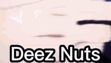 Toge Deez Nuts GIF - Toge Deez Nuts GIFs