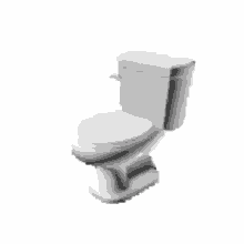spinning toilet
