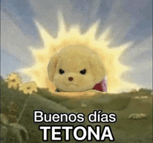 a teddy bear is sitting in front of a sun in a field with the words buenos dias tetona written on it .