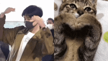 Joonmeowz Meowjoonie GIF - Joonmeowz Meowjoonie Namjoon Cat GIFs
