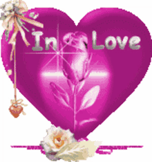 heart in love rose love flower