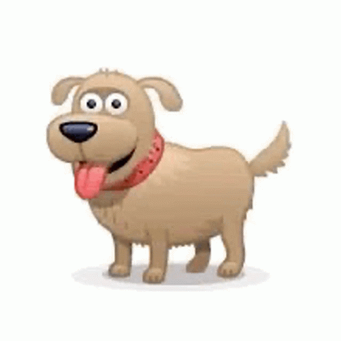 Dog Jumping GIF – Dog Jumping Happy – discover and share GIFs