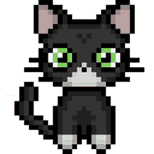tuxedo tuxedocat pixelcat blackcat cat