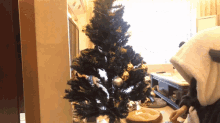 聖誕節 聖誕樹 GIF - 聖誕節 聖誕樹 佈置 GIFs