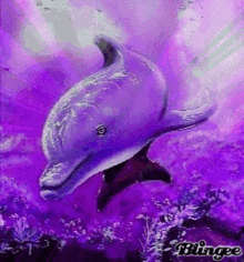 Dolphin Purple GIF - Dolphin Purple Fish GIFs