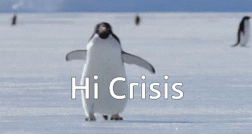 Hi Crisis GIF - Hi Crisis Penguin GIFs