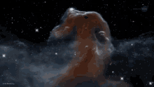 Horsehead Nebula GIF - Nasa Horsehead Nebula Outer Space GIFs