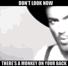 George Michael Monkey GIF - George Michael Monkey 80s Music GIFs