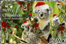Christmas Australia GIF - Christmas Australia GIFs