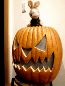 bunny pumpkin scary halloween