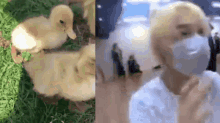 Hseokzip Jimin Duck Face Zoom Close Camera Eye GIF