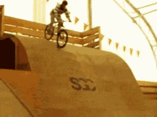 With A Shirt Like That, No One Wins GIF - Biketothewall Ouch Fail GIFs