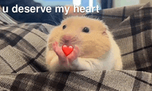 a hamster is holding a heart in its paws and says u deserve my heart .