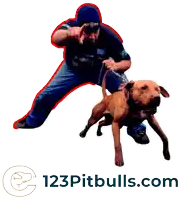 a picture of a man holding a dog with 123pitbulls.com written on the bottom