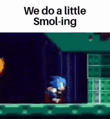 We Do A Little Smoling Sonic GIF - We Do A Little Smoling Sonic GIFs