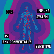Our Immune System Is Environmentally Sensitive Delicate GIF - Our Immune System Is Environmentally Sensitive Immune System Delicate GIFs
