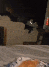 Excited Cat GIF - Excited Cat Happy GIFs