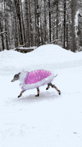 Dessi Dessi Allison GIF - Dessi Dessi Allison Dog Walking In Winter With Pink Booties GIFs
