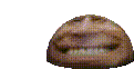 a close up of a cookie with a face on it