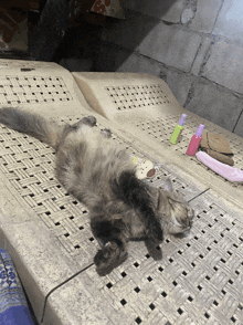 a cat is laying on its back on a wicker chair