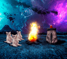 a group of cats sitting around a fire with a purple sky behind them